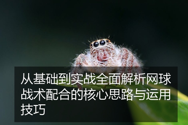 从基础到实战全面解析网球战术配合的核心思路与运用技巧