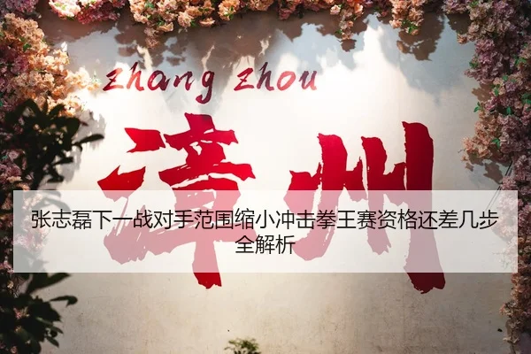 张志磊下一战对手范围缩小冲击拳王赛资格还差几步全解析